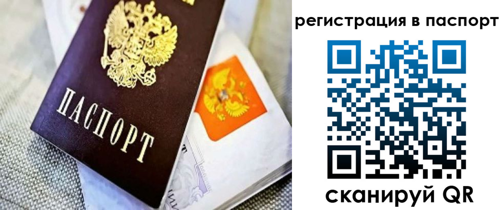 временная регистрация в Ермолино